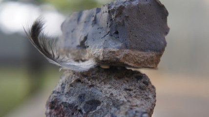 Obraz premium Stone And Feather