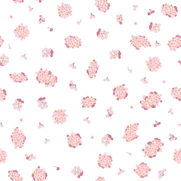 A cherry tree branch in bloom. Spring motif. Seamless pattern. Spring Bloom. Isolated on white. Garden background. Japanese sakura tree.