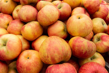 Fototapeta na wymiar Apples ready for tasting from the farmers market