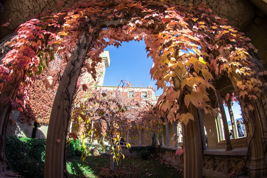 patio interior del castillo de olite