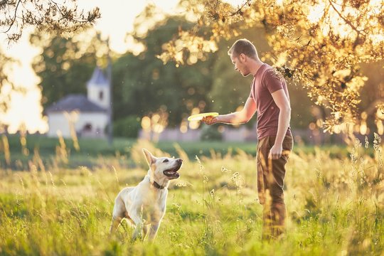 Furry Friends Forever: Making Memories with Your First Pet