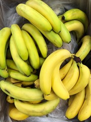 Fresh yellow and green bananas on the market 