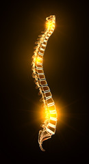 Painful spine, medically artwork, 3D