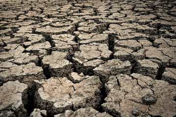 Drought - Dry cracked soil