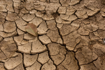 concept about drought or climate change