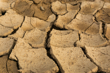 concept about drought or climate change