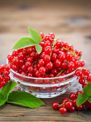 Fresh red currant in the bowl
