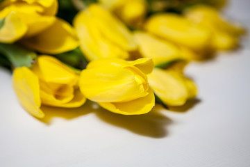 Bouquet of yellow tulips