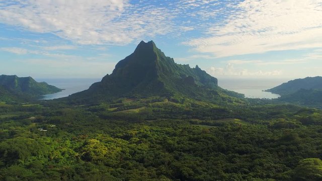 Aerial view of Mount Rotui, lush green jungle, picturesque hills, mountains, valleys and bays - Moorea island, South Pacific Ocean, French Polynesia landscape from above, 4k