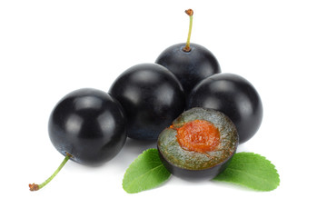 blackthorn berries with green leaf isolated on white background. macro