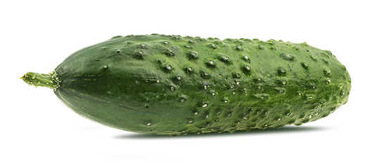 Fresh cucumber isolated on white background with clipping path