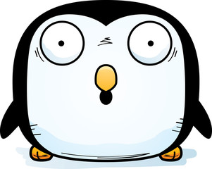 Surprised Little Penguin