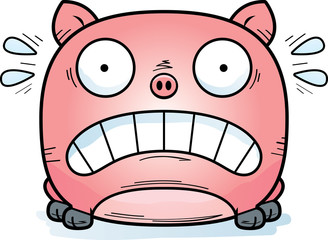 Terrified Little Pig