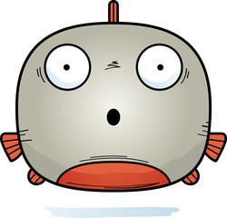 Surprised Little Piranha