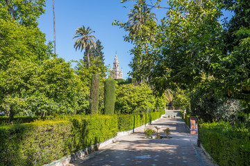 Real Alcázar de Séville