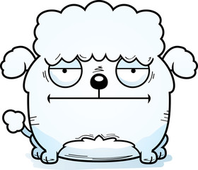 Calm Little Poodle