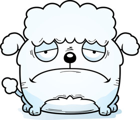 Sad Little Poodle