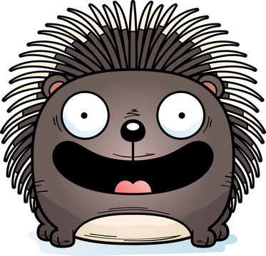 Cartoon Porcupine Smiling