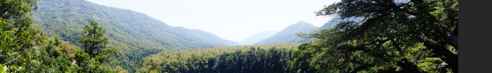 Naturaleza, animales, vacas, patos, cielo, noche, rio, bosque, lago, Nature, animals, cows, ducks, sky, night, river, forest, lake