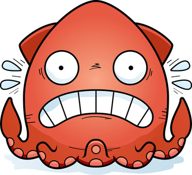 Scared Cartoon Squid