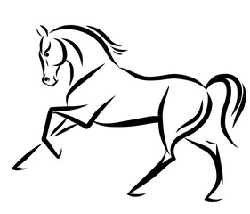 Obraz premium A sketch of a freely cantering horse.