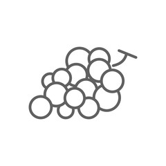 grape line vector icon