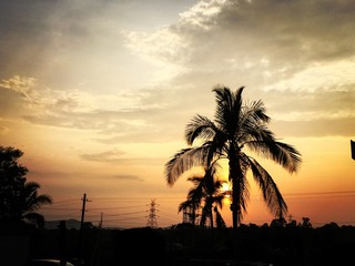Obraz premium Sunset out of the city cloudy evening with trees 