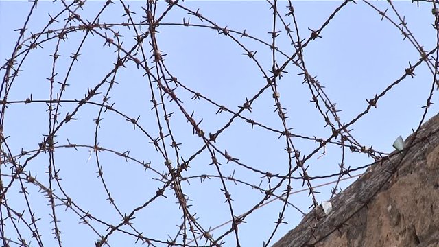 Close up shot of barbed wire at the top of a brick prison fence