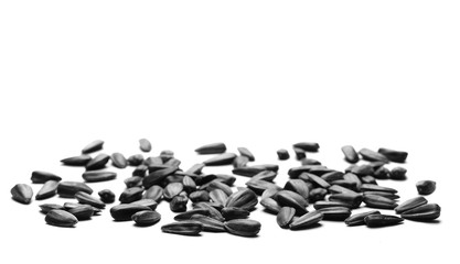 Sunflower seeds pile isolated on white background