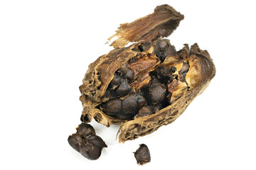 black cardamom isolated on white background