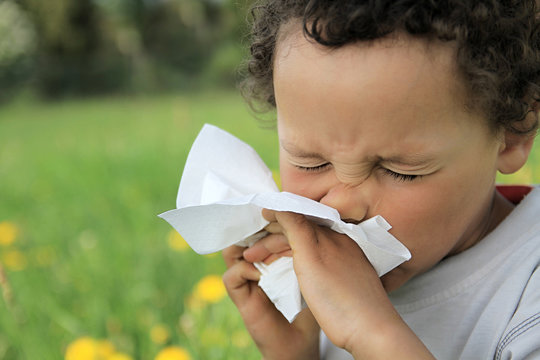 child blowing nose stock photo