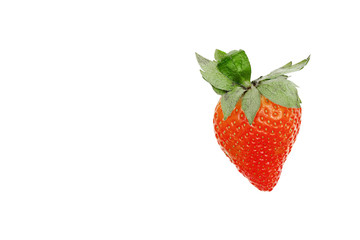 one fresh strawberry isolated on a white background