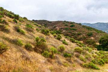 Dry hills of Southern California on gloomy spring morning with mountains in background