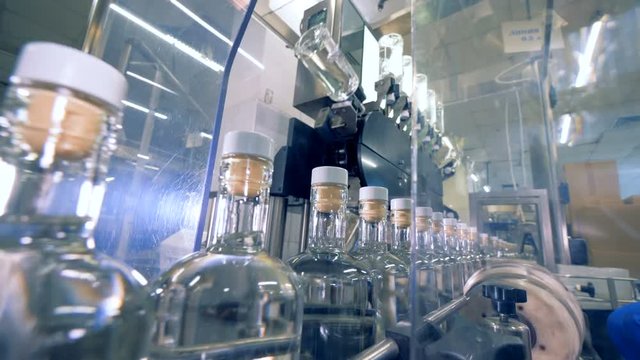 Bottles with alcohol and caps move on a conveyor, close up.
