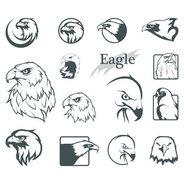 Set Of Eagles. Bald Eagle Logo. Wild Birds Drawing. Head Of An Eagle. Vector Graphics To Design.