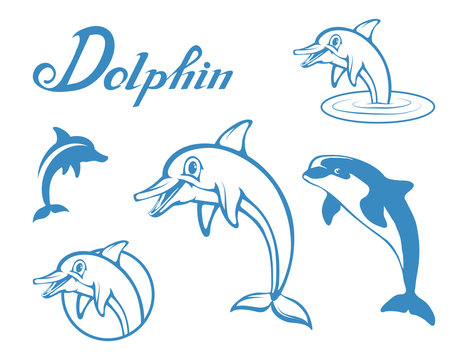 Set of Dolphin. Cartoon dolphin. Sea animal. Vector graphics to design.