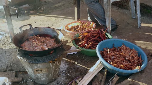 Deep-frying frogs in wok cooking over household stove; Deep-fried frogs and water snakes inside plastic basins on the side