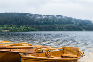 Holzboote am Titisee