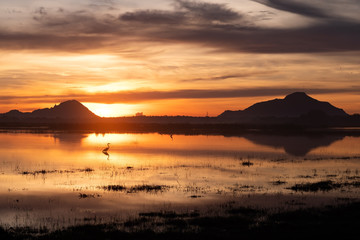 Beautiful landscape view on lake and mountain during sunset or sunrise in Sri Lanka