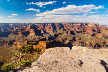 Fototapeta na wymiar Grand Canyon, seen from South Rim's Maricopa Point. The stony overlook and tree is in the foreground.