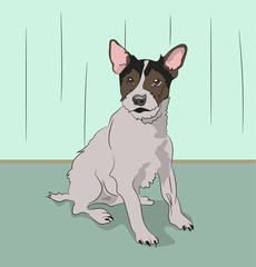 dog sitting in a room, vector