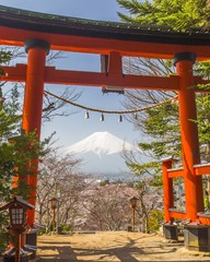 桜咲く新倉山浅間公園