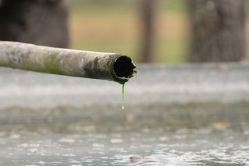 sacando agua
