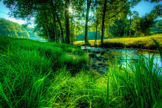 rz_photo photos, images, assets | Adobe Stock