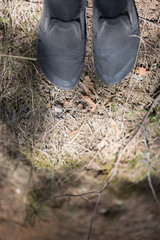 Black Sneakers shoes on the ground with dry needles of coniferous forest