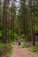 Mann mit Rucksack und Hut wandert in einem Wald im Gebirge