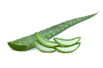 Aloe vera plant and slices  isolated on white background.