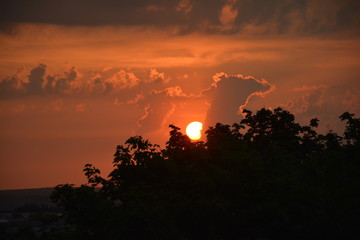 Beautiful sunset over the city through the branches of trees