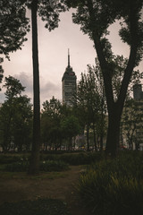 latinoamerican tower in mexico city