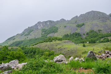 Fototapeta na wymiar Rainy clouds approach the green mountain meadow.